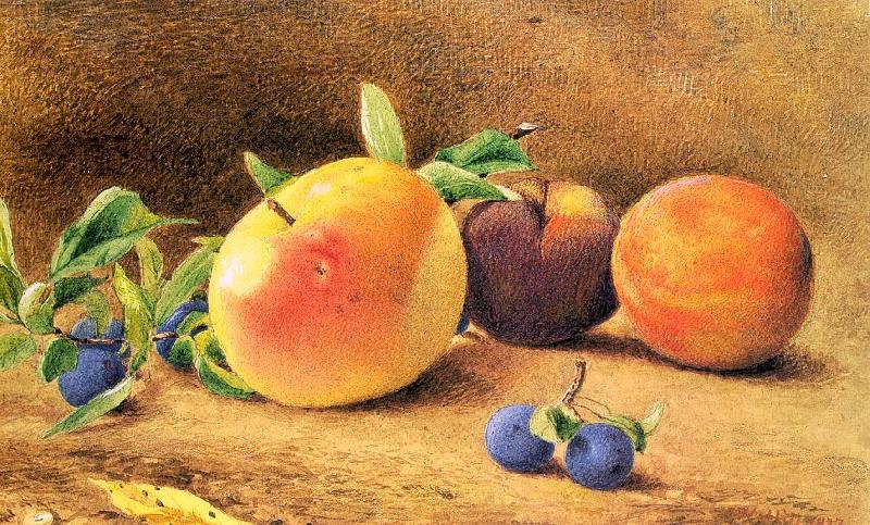 Hill, John William Study of Fruit